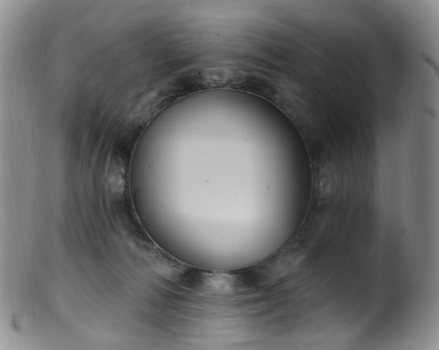 X0000099480226200805161142