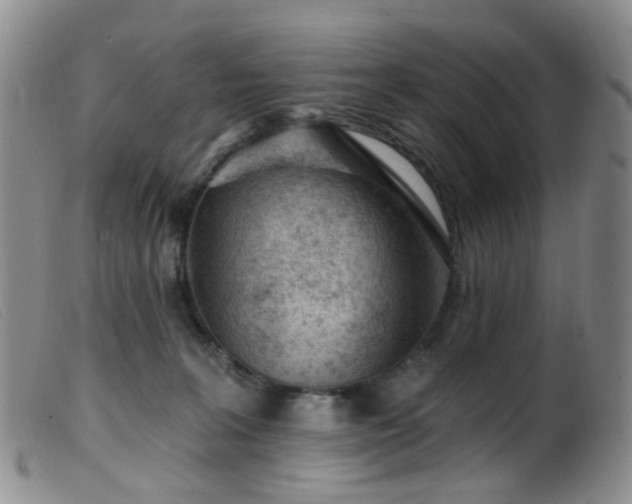 X0000099480227200805161142