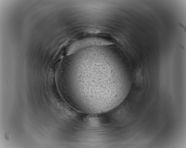 X0000099480228200805161142
