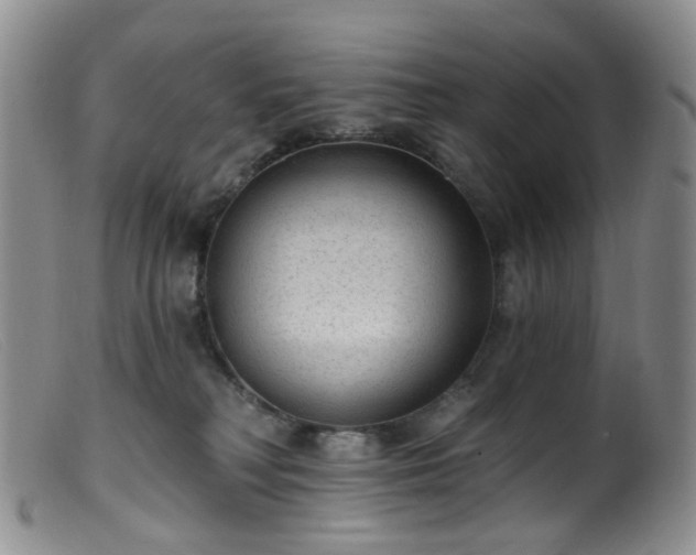 X0000099480230200805161142