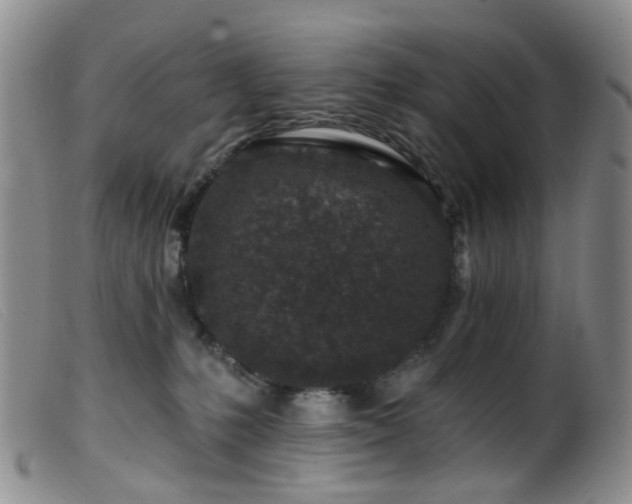 X0000099480231200805161142