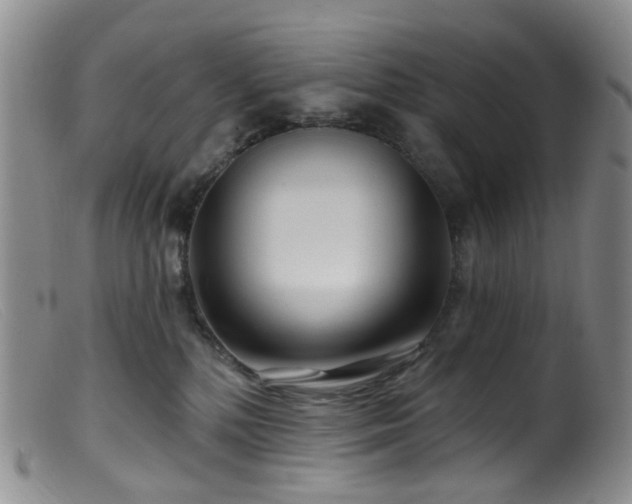 X0000099480232200805161142
