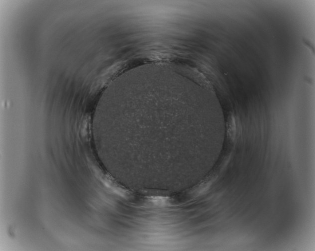 X0000099480233200805161142