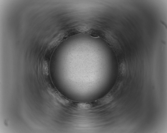 X0000099480234200805161142