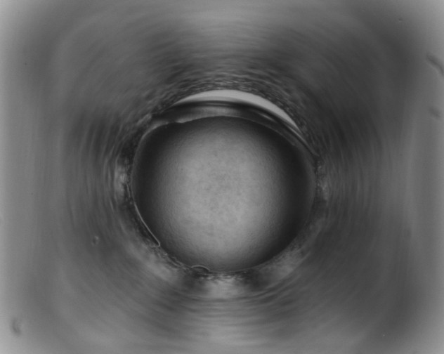 X0000099480235200805161142
