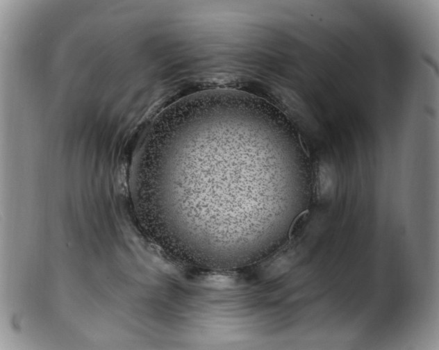 X0000099480236200805161142