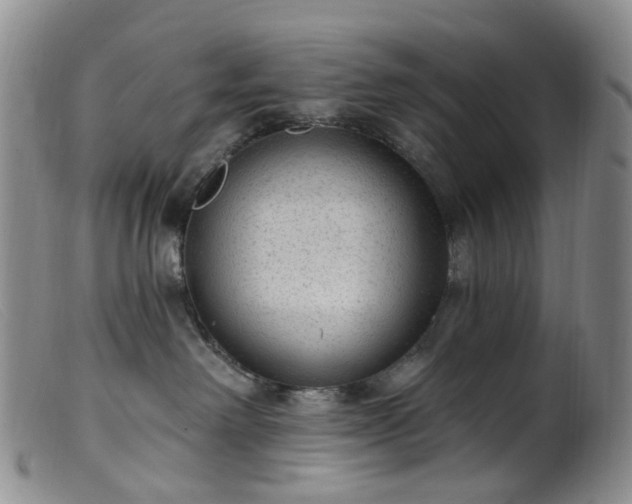 X0000099480238200805161142