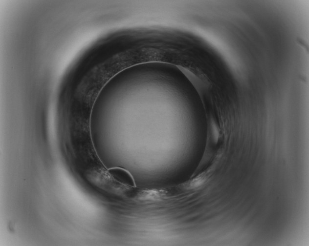 X0000099480239200805161142