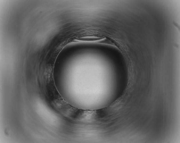 X0000099480240200805161142