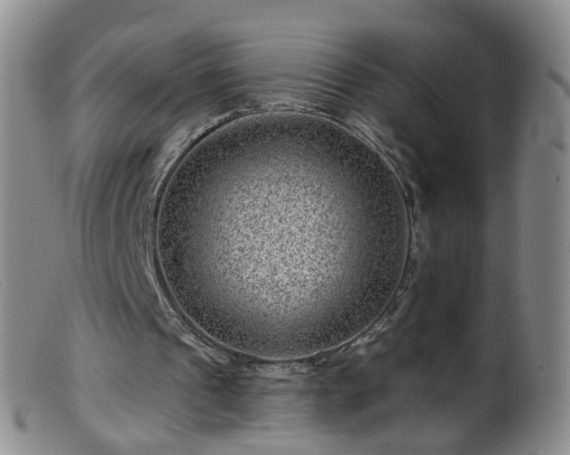 X0000099480241200805161141