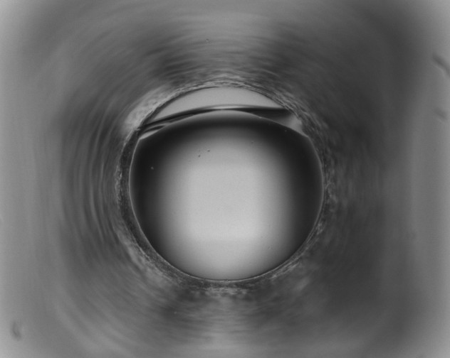 X0000099480242200805161141