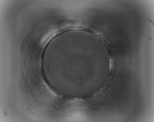 X0000099480243200805161141