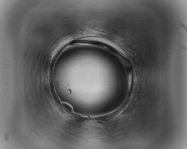 X0000099480244200805161141