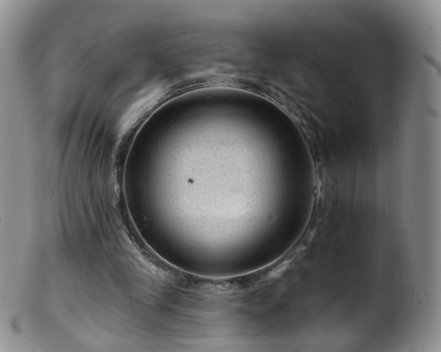 X0000099480245200805161141