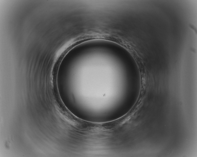 X0000099480246200805161141