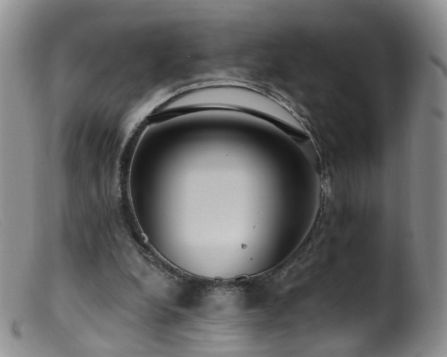 X0000099480248200805161141