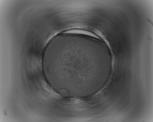X0000099480249200805161141