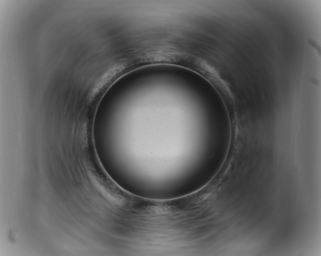 X0000099480250200805161141