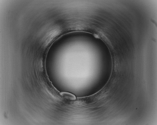 X0000099480251200805161141