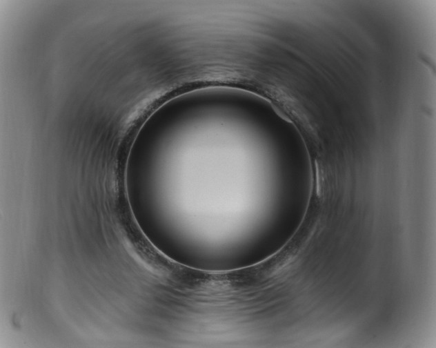 X0000099480252200805161142