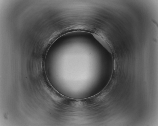 X0000099480253200805161142