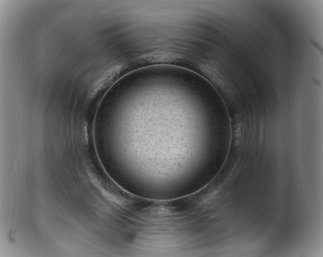 X0000099480254200805161142