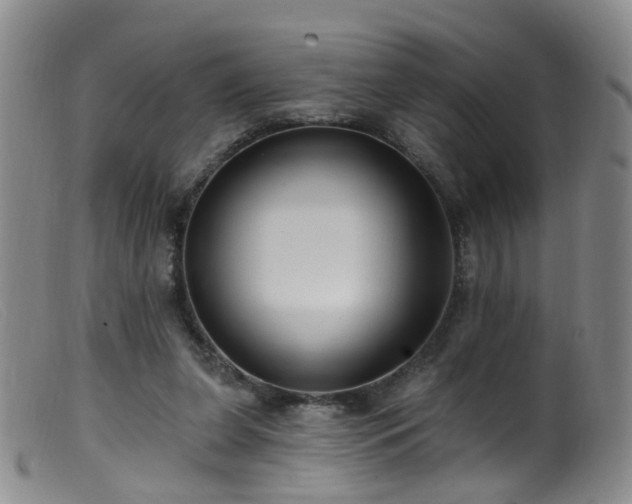 X0000099480255200805161142