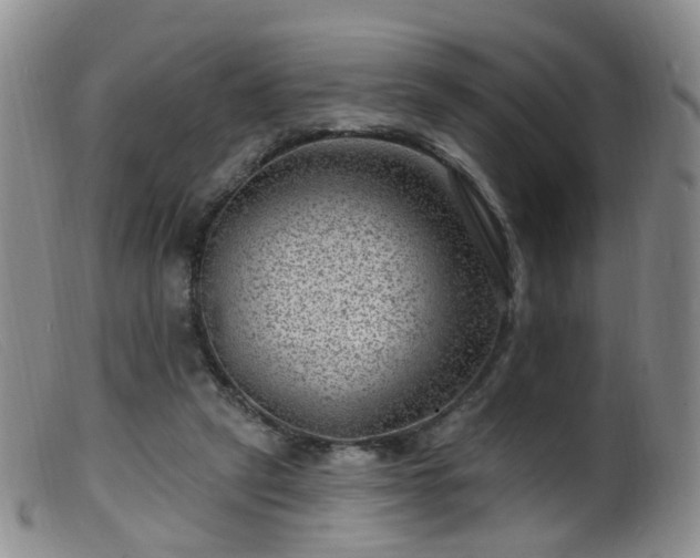 X0000099480257200805161142