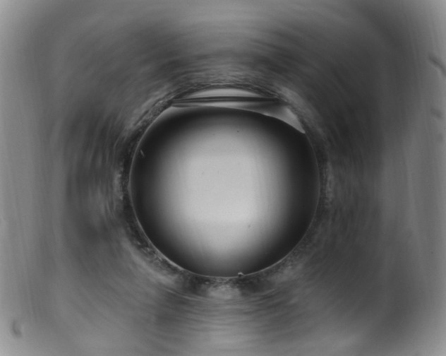 X0000099480258200805161142
