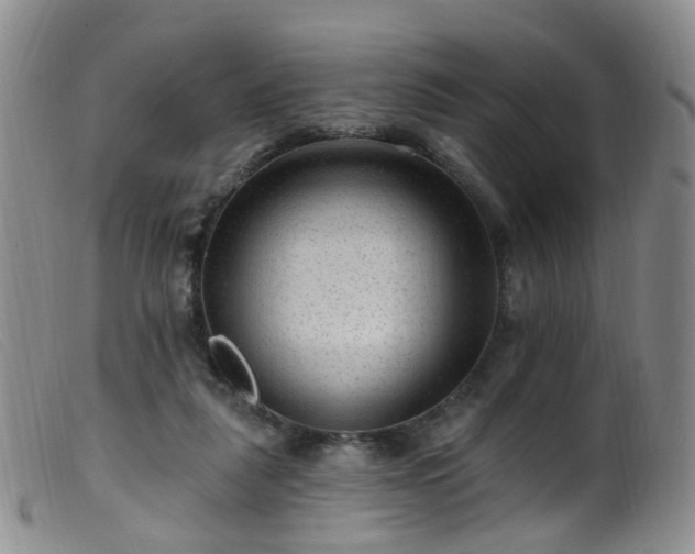 X0000099480259200805161142
