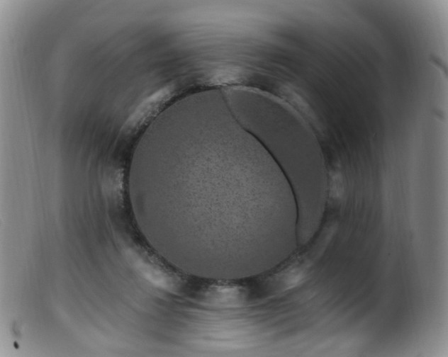 X0000099480260200805161142