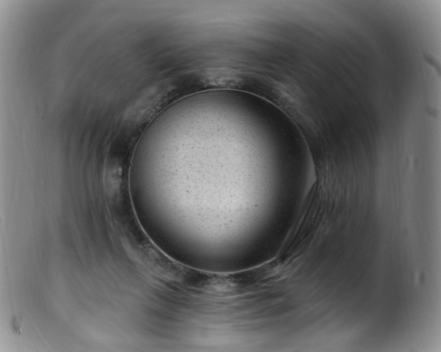 X0000099480263200805161142
