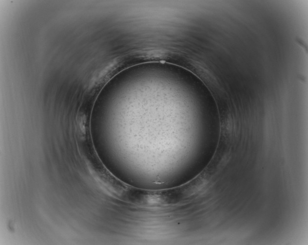 X0000099480264200805161142