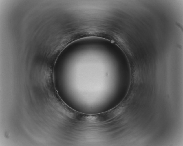 X0000099480265200805161142