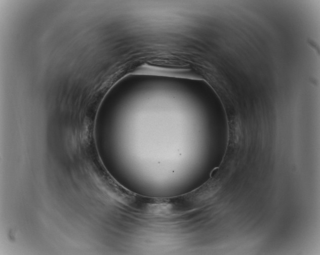 X0000099480266200805161142