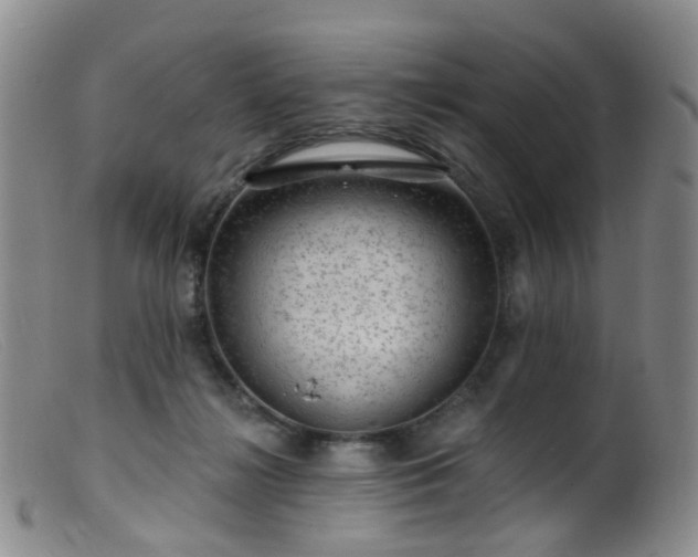 X0000099480268200805161142
