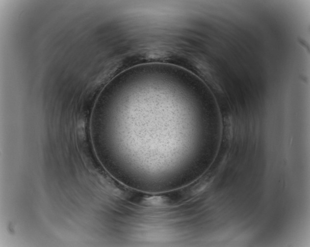 X0000099480269200805161142