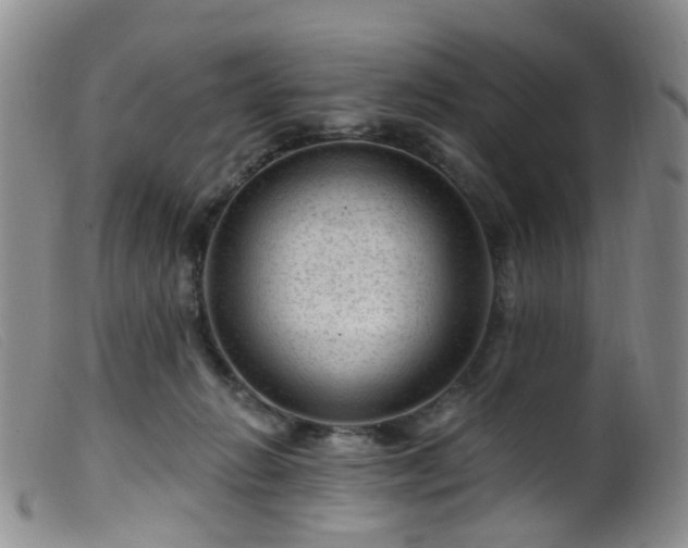 X0000099480270200805161142