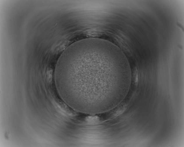 X0000099480271200805161142