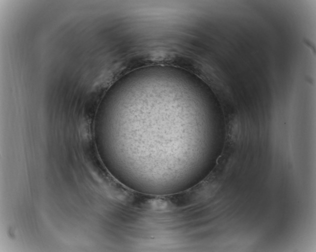 X0000099480272200805161142