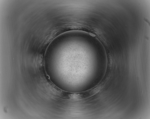 X0000099480273200805161142