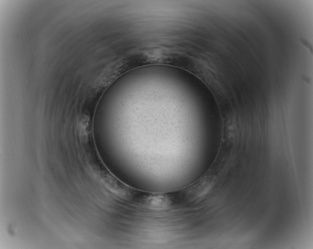 X0000099480275200805161142