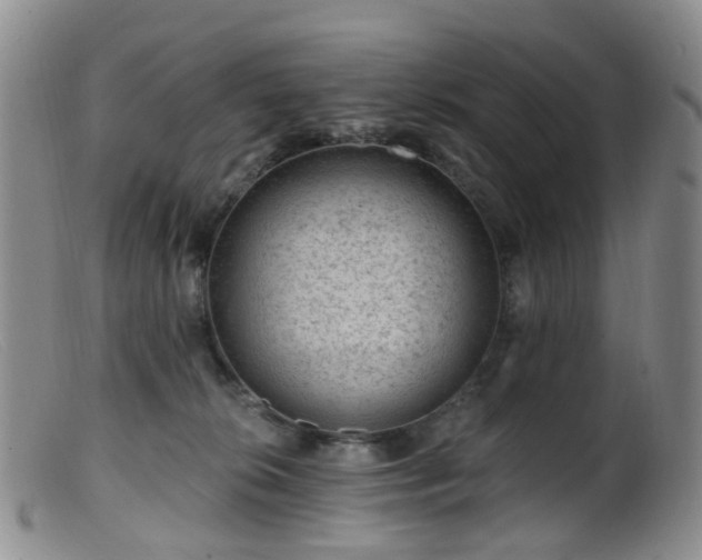 X0000099480276200805161142