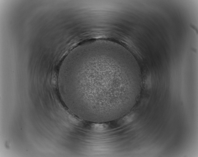 X0000099480277200805161142