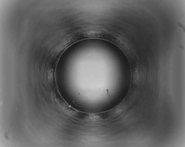 X0000099480278200805161142