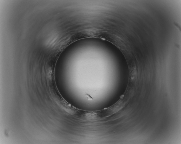 X0000099480279200805161142