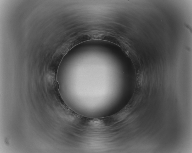 X0000099480283200805161142