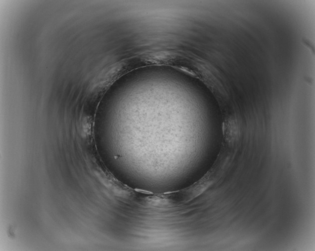 X0000099480284200805161142