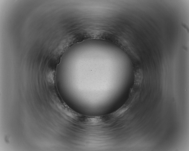 X0000099480286200805161142