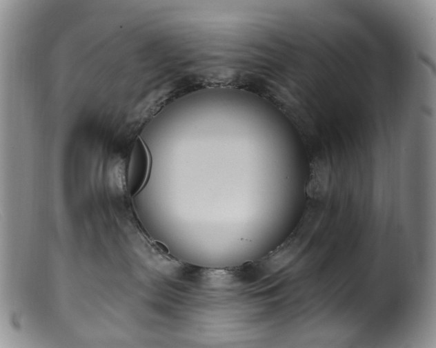 X0000099480287200805161142